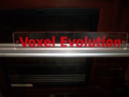 Voxel Evolution