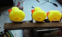 IMG-20180222-WA0003.jpg