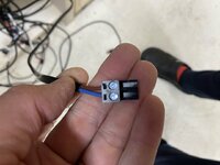 IMG_7465.jpeg