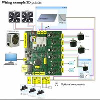 Echinus wiring example.JPG