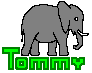 Tommy Lottum