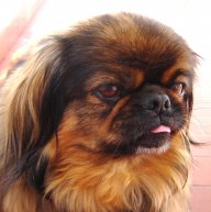 PIXI