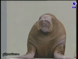 BigDennis