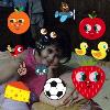 amr mohsen
