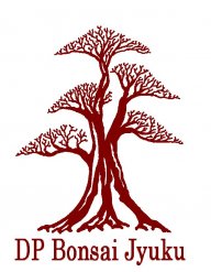DiegoP