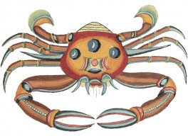 seacrab