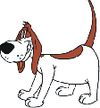 Patfi