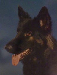 PAF