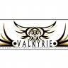 Valkyrie Builds