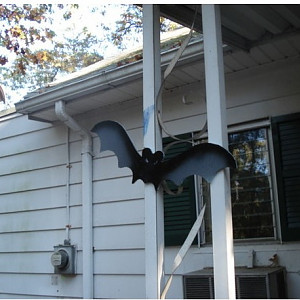 bat3.JPG